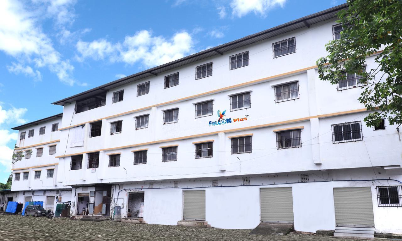 Falcon Plus building - our beginning